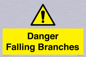 Danger Falling Branches